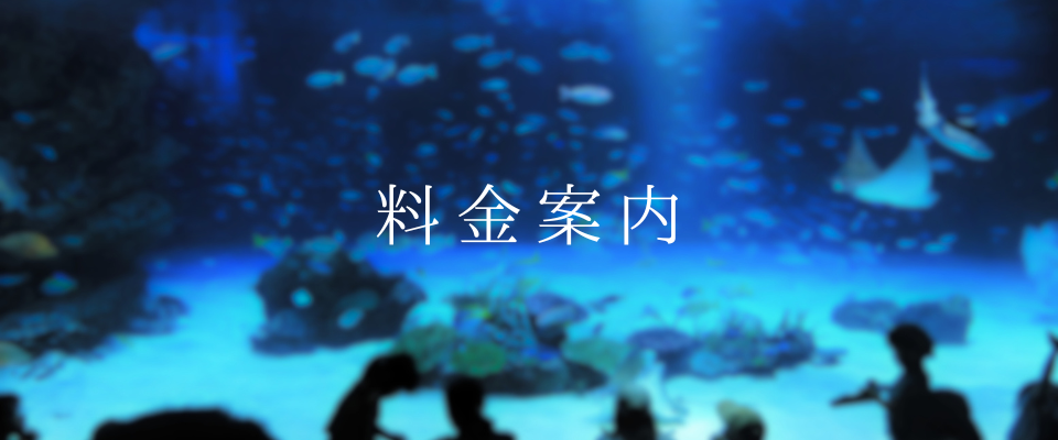 料金案内